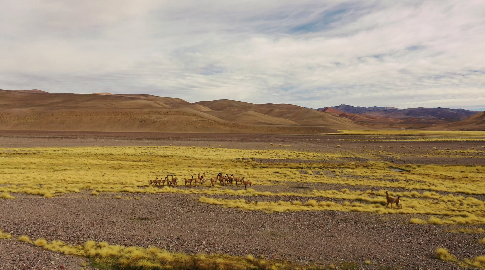 Öйú¡¤ÓÀÀû¼¯ÍÅ(304am-VIPÈÏÖ¤)¹ÙÍø-Official Platform