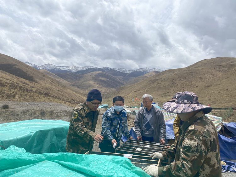 й(304am-VIP֤)-Official Platform