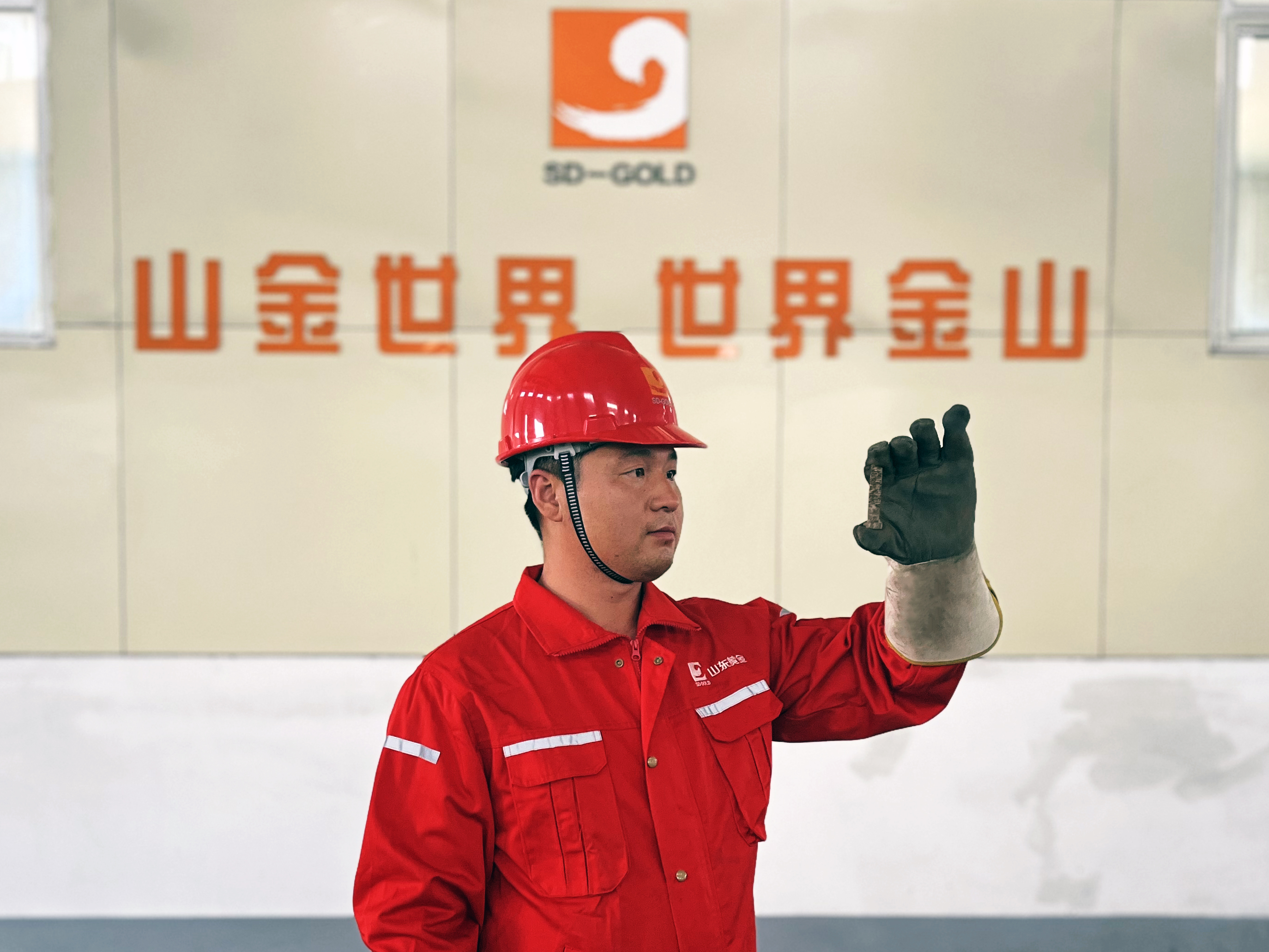 �й�����������(304am-VIP��֤)����-Official Platform