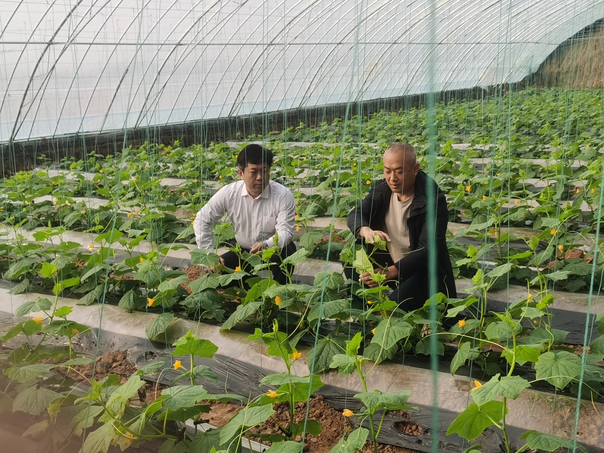 �й�����������(304am-VIP��֤)����-Official Platform