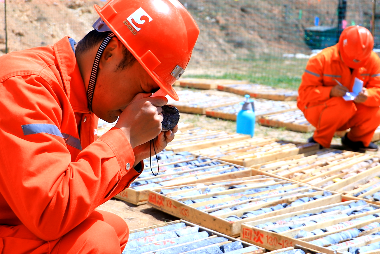 й(304am-VIP֤)-Official Platform