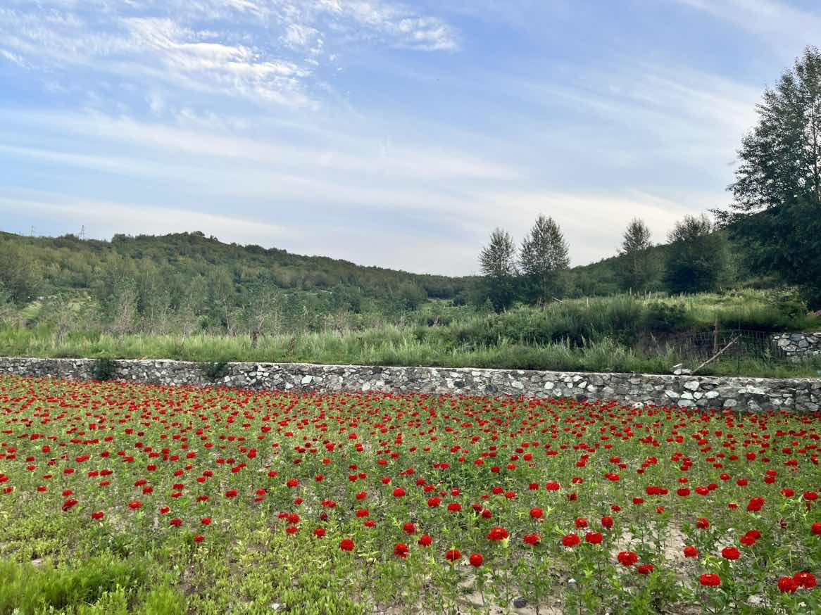 й(304am-VIP֤)-Official Platform