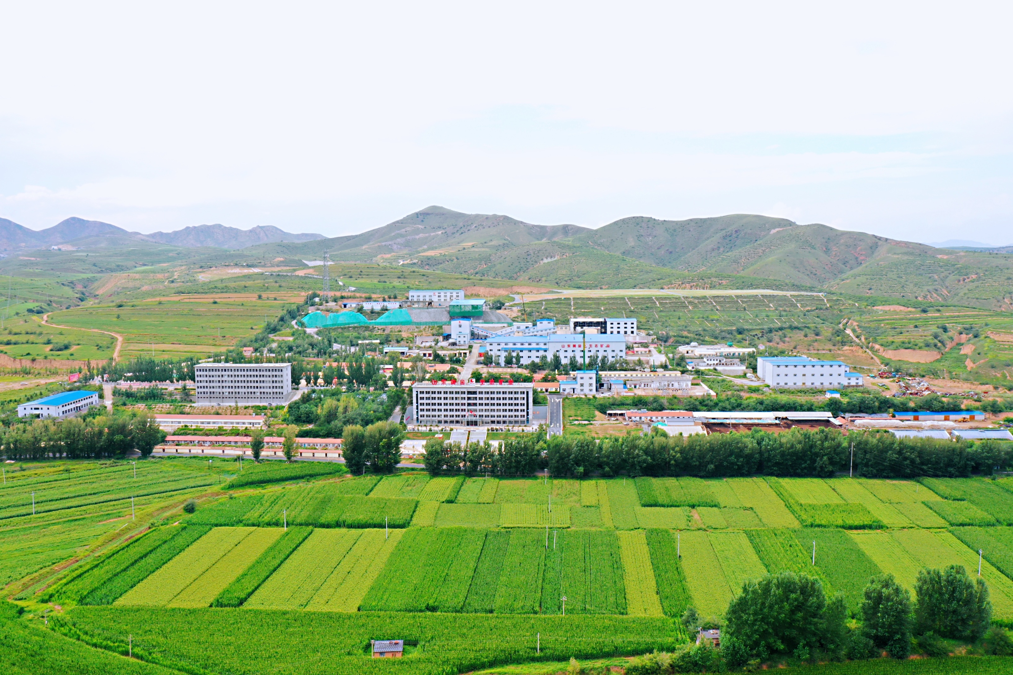 �й�����������(304am-VIP��֤)����-Official Platform