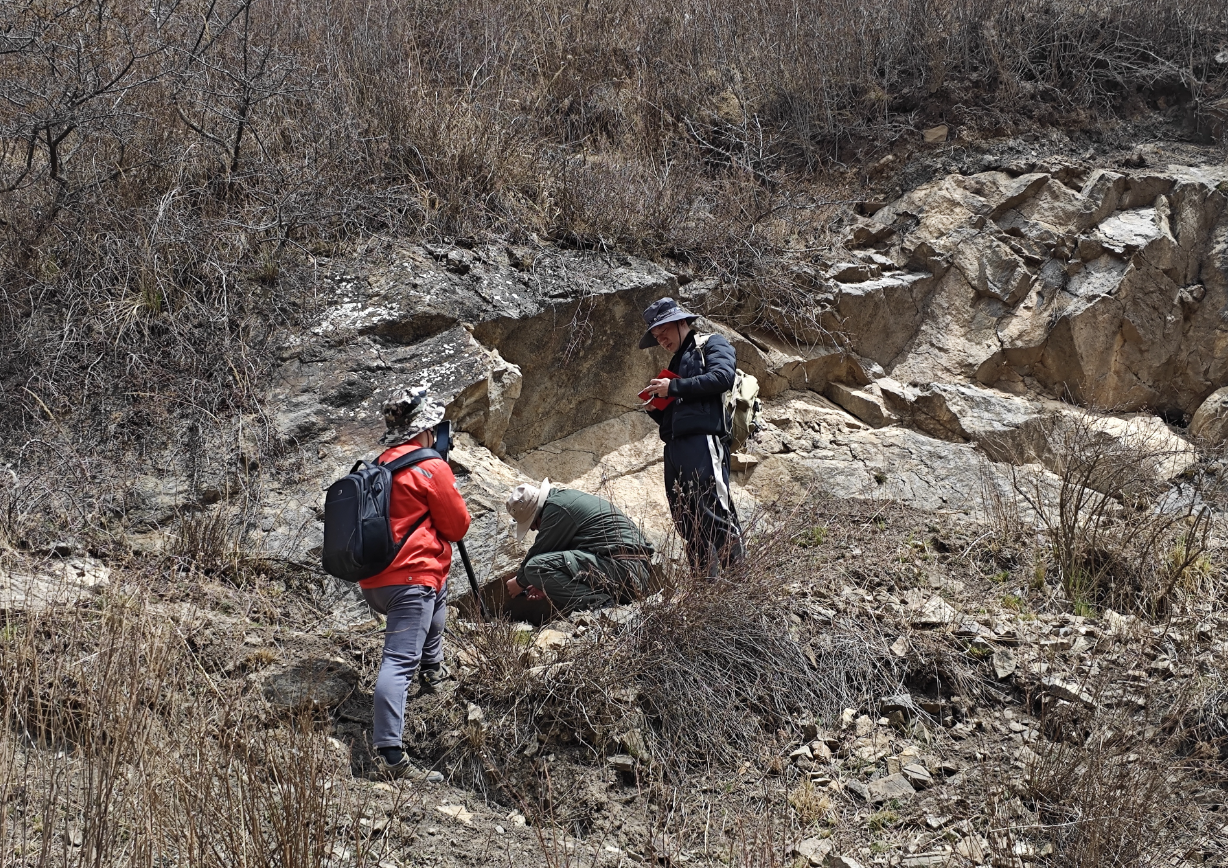 中国·永利集团(304am-VIP认证)官网-Official Platform